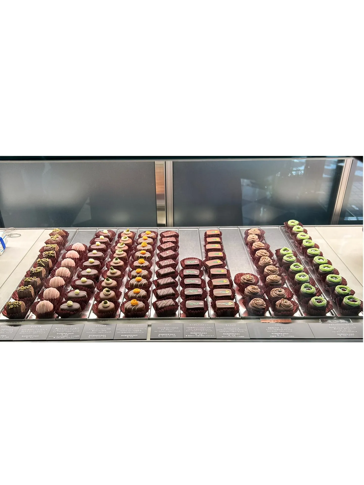 本日は店休日です!