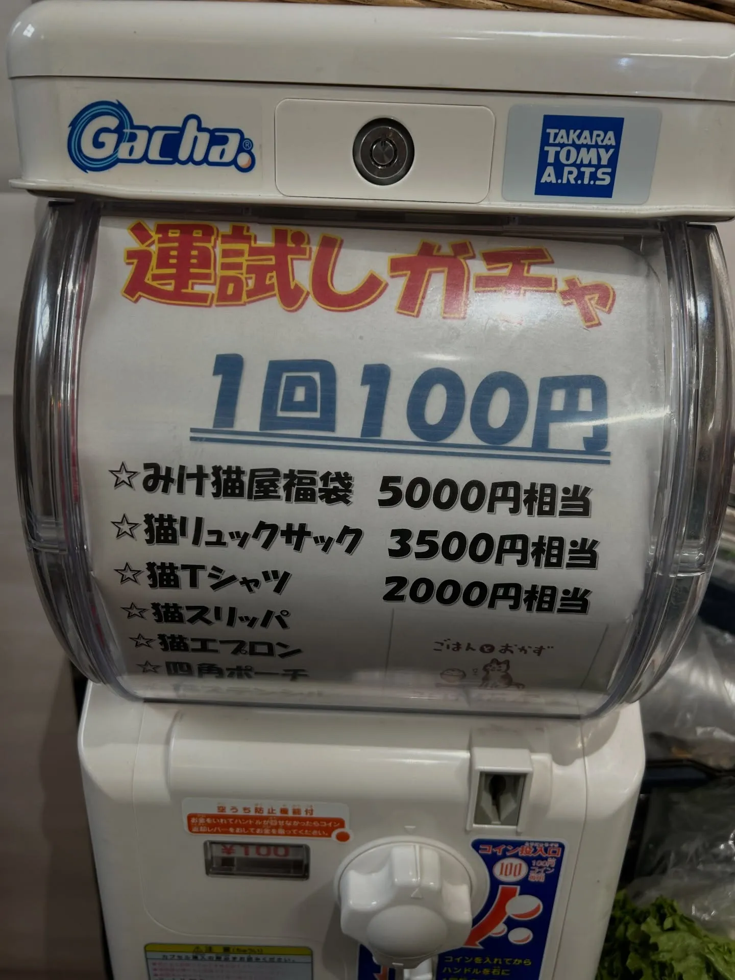 運試しガチャ❣️