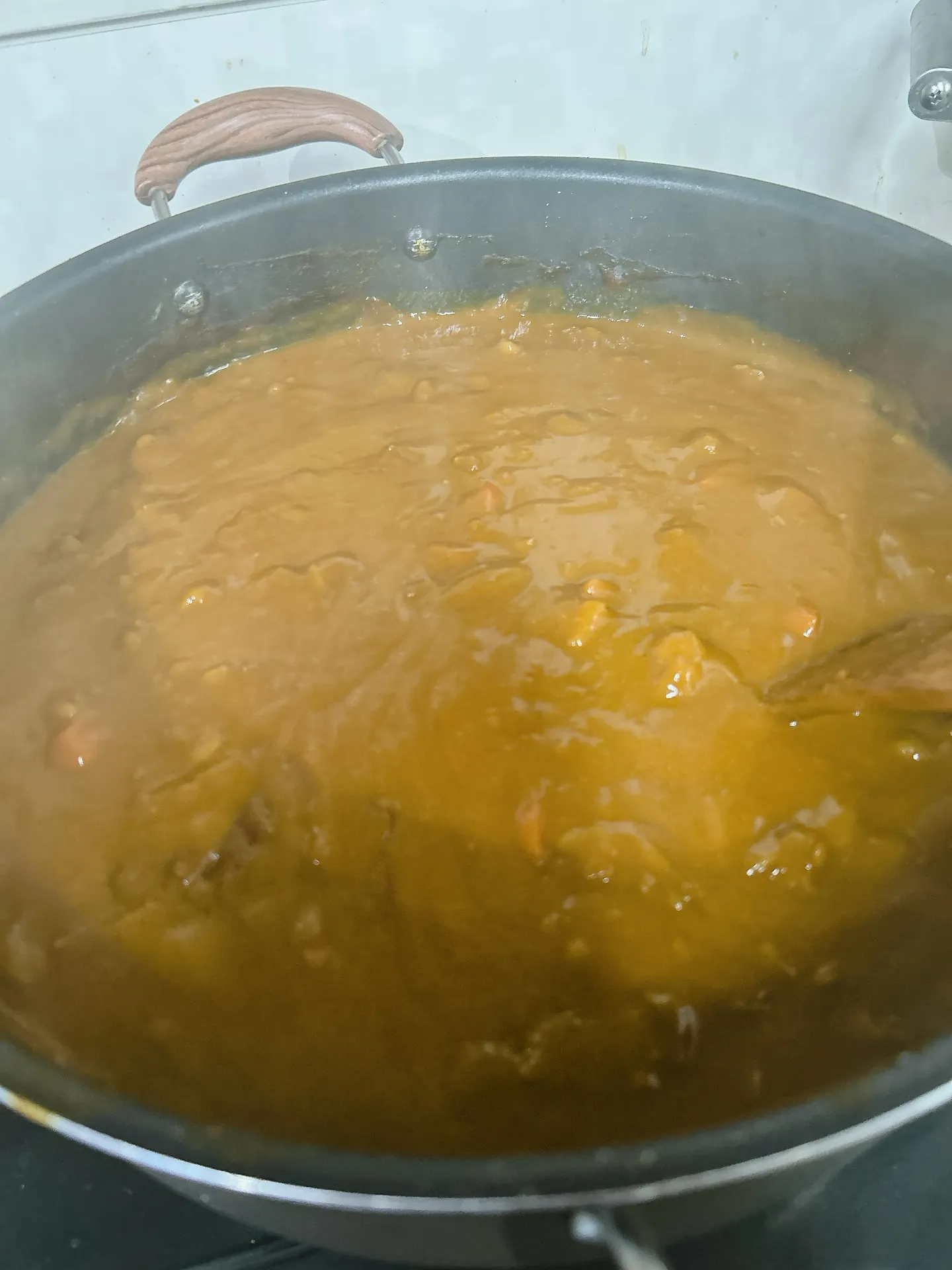 国産牛すじゴロゴロカレー