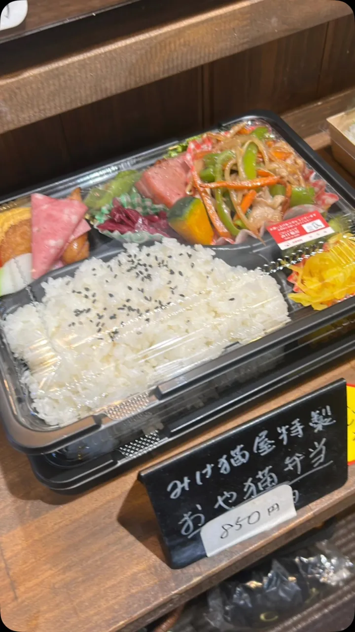 おはようございます！
